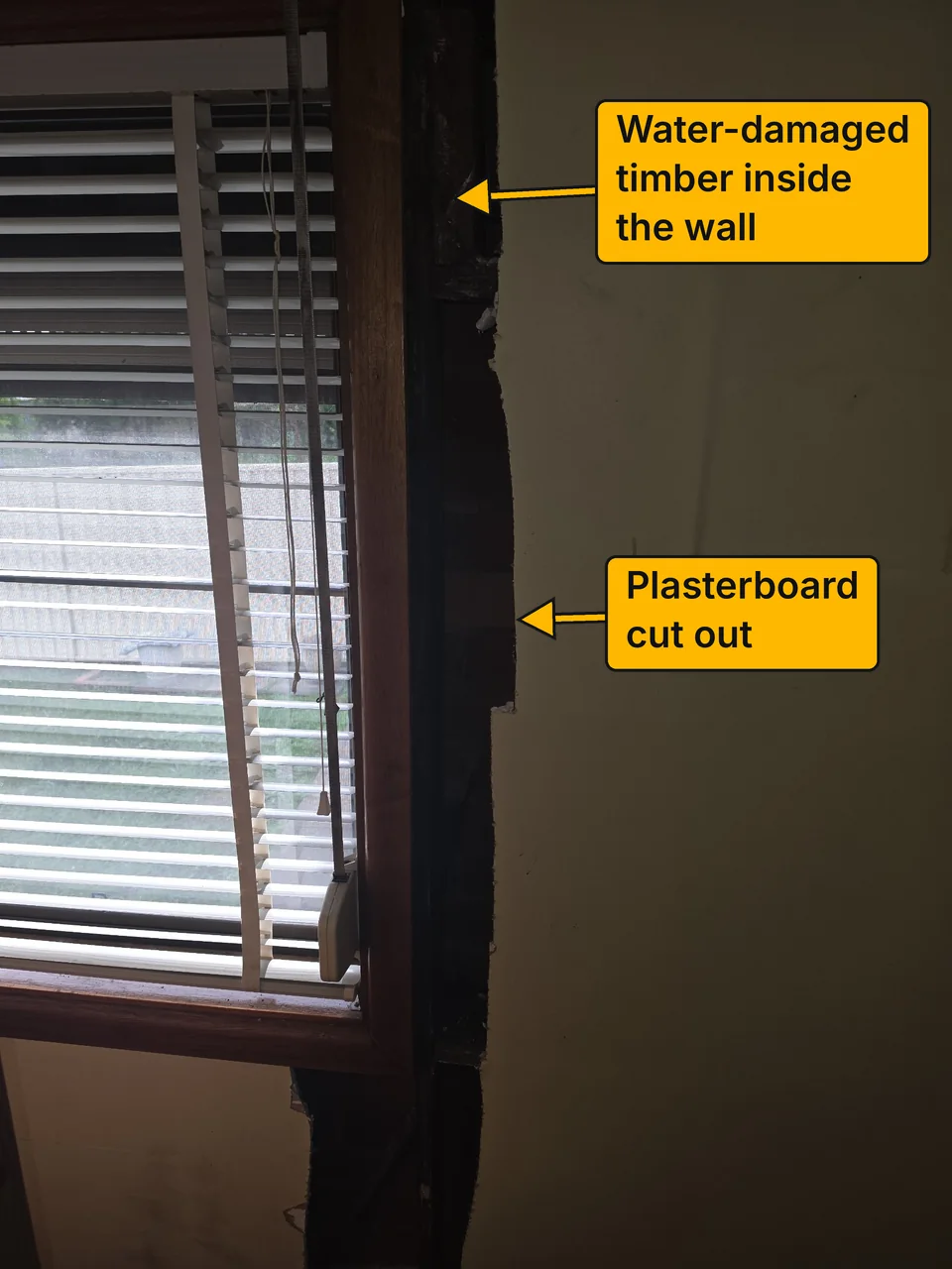 Inside the home, a window frame with the wall beside it cut open after the plasterboard was water damaged, exposing dark timber. Labels point to the cut-out plasterboard and the water-damaged timber.